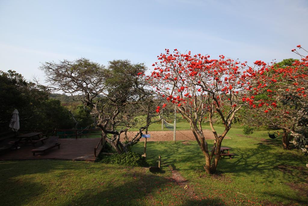 Buccaneers Beach Lodge, Chintsa, South Africa エクステリア 写真