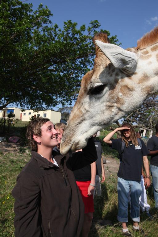 Buccaneers Beach Lodge, Chintsa, South Africa エクステリア 写真