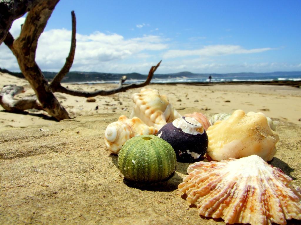 Buccaneers Beach Lodge, Chintsa, South Africa エクステリア 写真